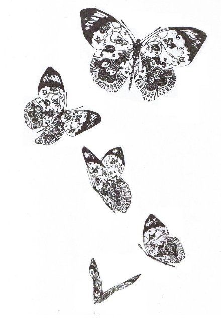 Эскиз женских тату бабочки